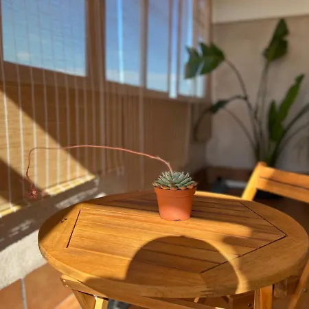 Aticoame Апартаменты Дон-Бенито